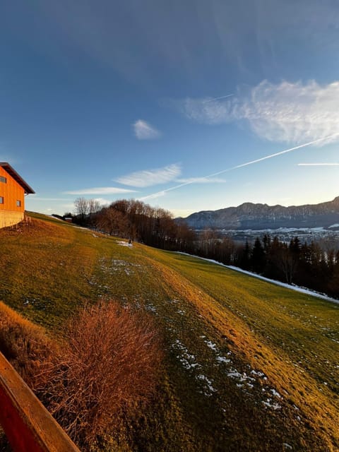 Ferienhof Oberer Riesner Apartment in Mondsee