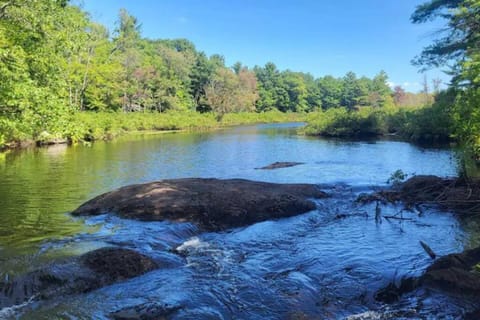 Muskoka Bliss Haus in Gravenhurst