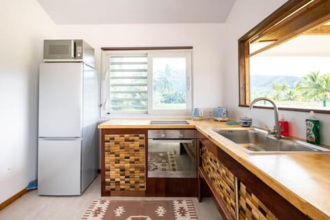 Kitchen or kitchenette, minibar, oven, stove