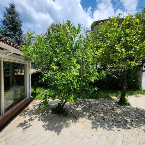 La villa Ioio House in Maratea