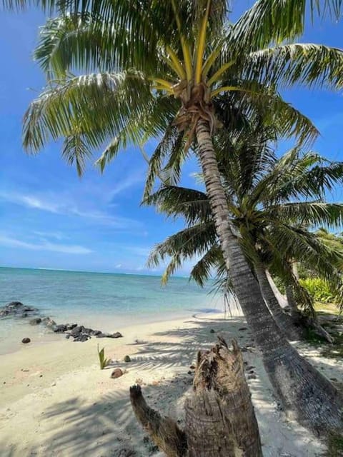 Natural landscape, Beach, Sea view