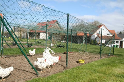 Fewo Leuchtturmblick Bastorf nahe Kühlungsborn Vacation rental in Kühlungsborn