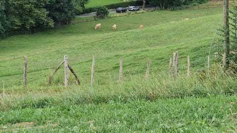 les insolites de biriatou Campground/ 
RV Resort in Hendaye