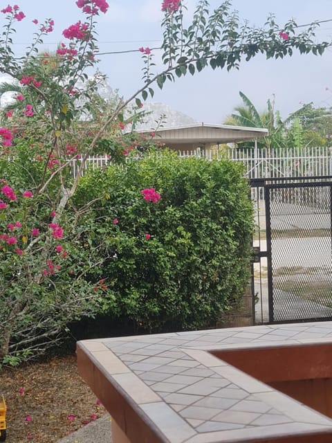 Balcony/Terrace, Garden view