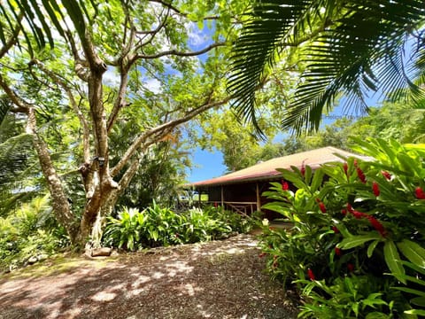 Property building, Patio, Facade/entrance