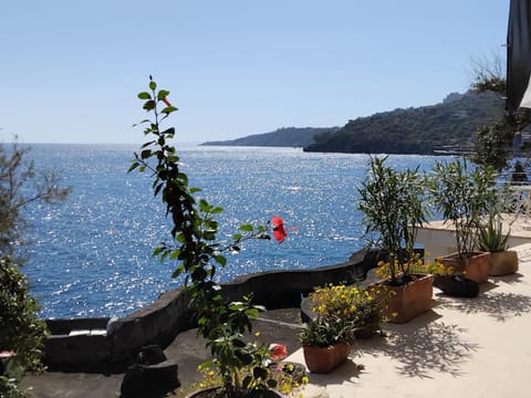 Sapore di mare - Appartamento in Villa sul mare pet friendly Apartment in Acireale