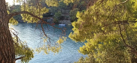 Villa sea view Poros island! House in Poros