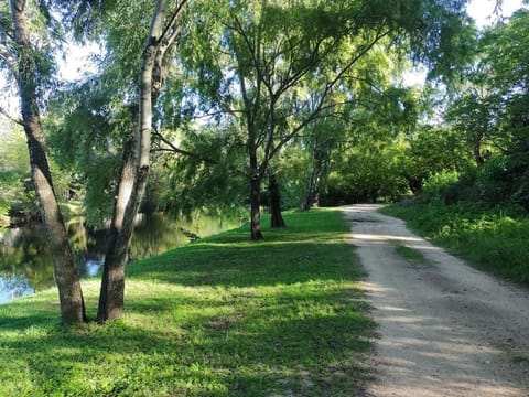 River view