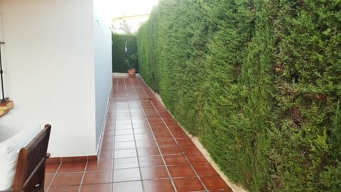 Patio, Inner courtyard view