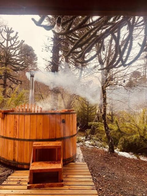 Refugio Colorado House in Araucania, Chile