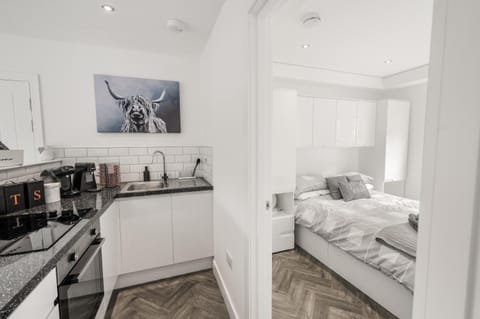 Kitchen or kitchenette, Photo of the whole room, Bedroom, stove