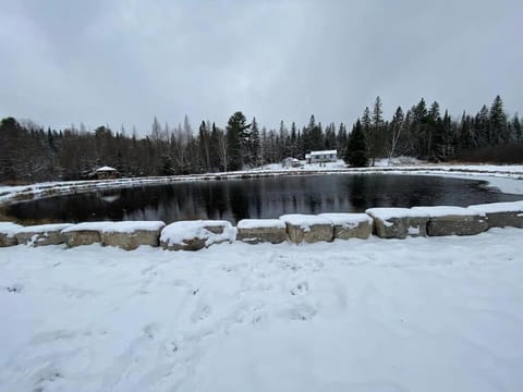 Winter, Lake view