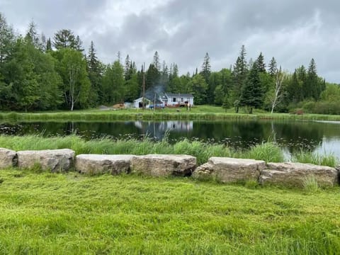 Natural landscape, Lake view