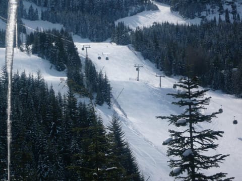 Natural landscape, Winter, Skiing