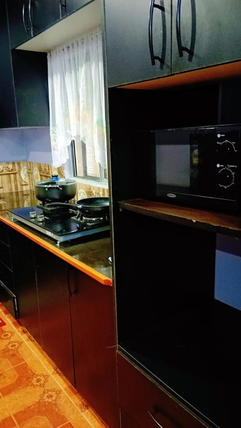 Kitchen or kitchenette, oven, stove