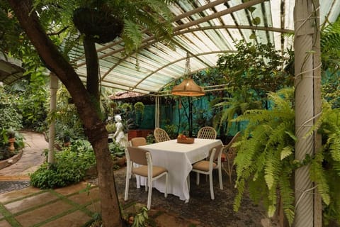 Patio, Dining area