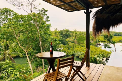 Balcony/Terrace, Pool view, River view