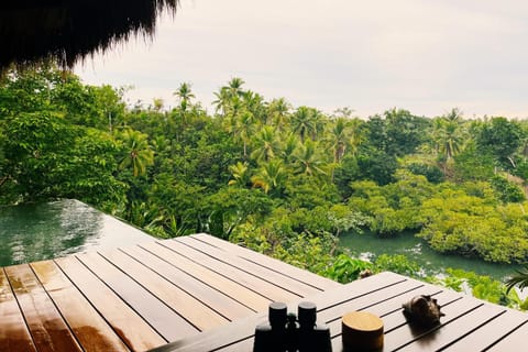 View (from property/room), Pool view, River view, Swimming pool