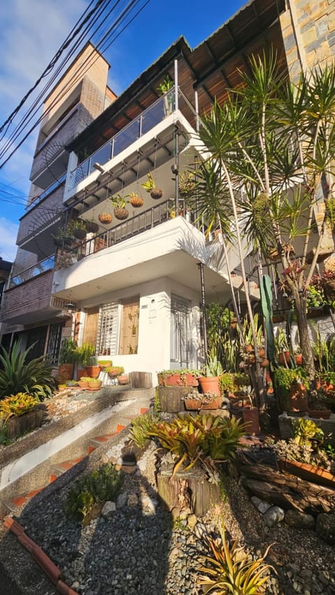 Property building, Garden, Garden view