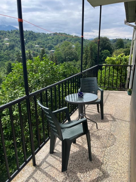 Natural landscape, View (from property/room), Balcony/Terrace, Mountain view