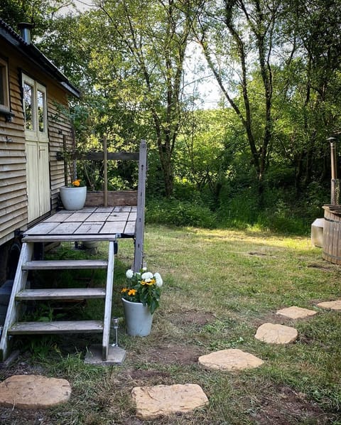 Dingle Glenn secluded woodland cabin Apartment in Ashburton