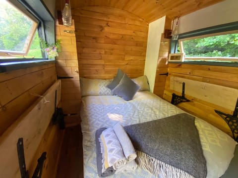 Dingle Glenn secluded woodland cabin Apartment in Ashburton