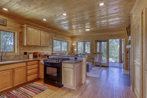 403 Apache Street House in Pagosa Springs