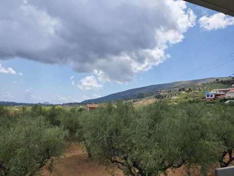 Balcony/Terrace, Garden view