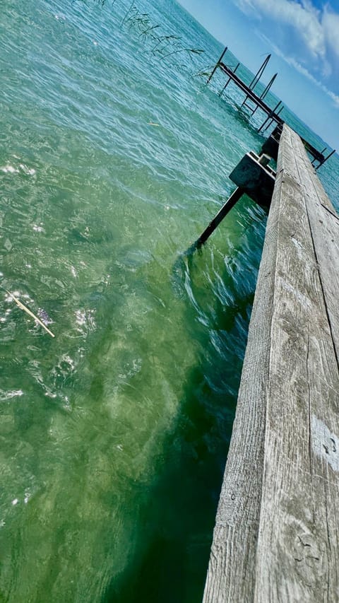 Day, Natural landscape, Fishing, Balcony/Terrace, Open Air Bath, Public Bath