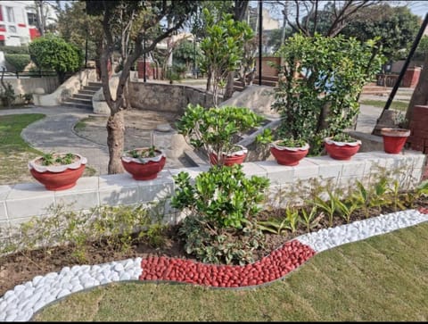 Joiya's house Bed and Breakfast in Lahore