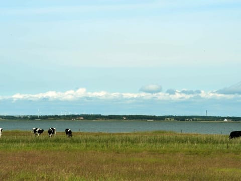 Lake view