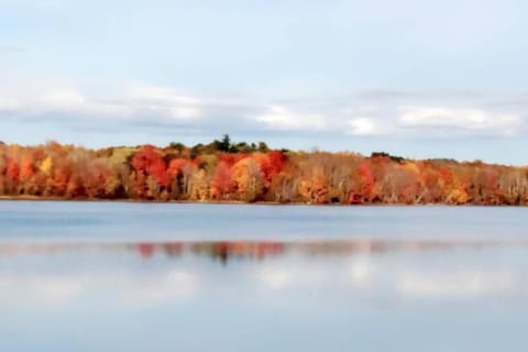 Picturesque lake-front cottage close to amenities House in Penobscot