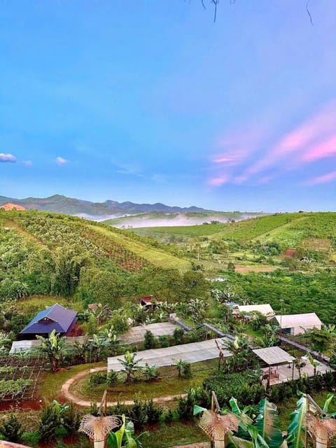 Day, Natural landscape, View (from property/room), Mountain view