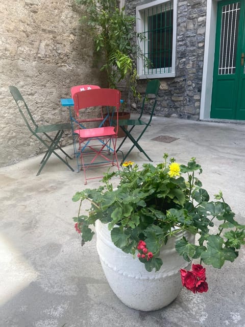 Patio, Garden