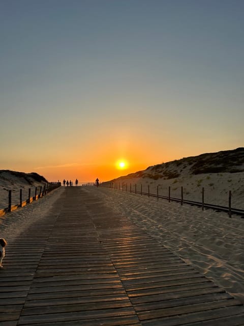 Camping Les Viviers , Cap ferret Campground/ 
RV Resort in Lege-Cap-Ferret