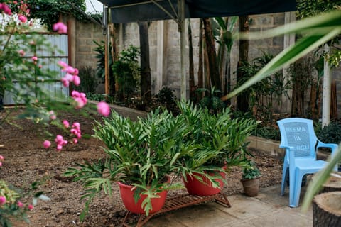 Inner courtyard view