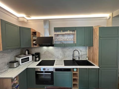 Kitchen or kitchenette, dishwasher, minibar, oven, stove, toaster