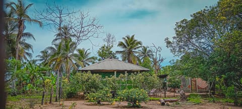 Ibedi al Natural Nature lodge in Choco, Colombia