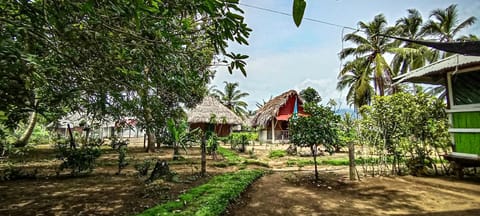 Ibedi al Natural Nature lodge in Choco, Colombia