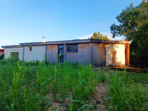 Property building, Garden view