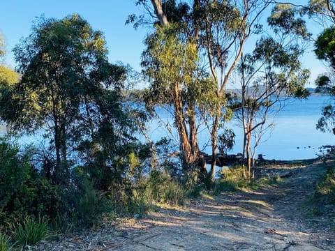 Fully fenced, wrap around decks, water on 3 sides House in South Bruny