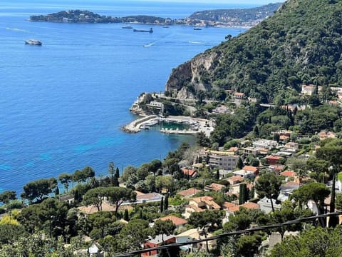 Entre les citronniers et la mer Apartment in Eze