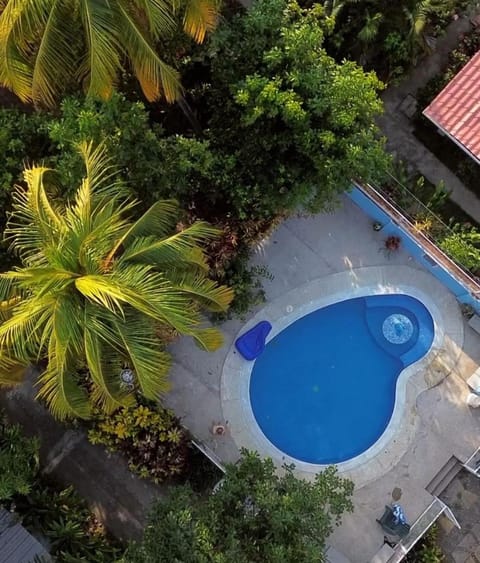 Day, Bird's eye view, Garden, Garden, Garden view, Pool view, Swimming pool