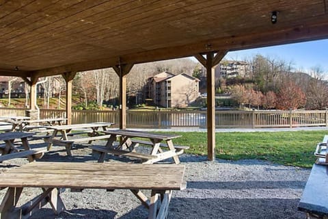 Take in Natures Beauty with lots of resort outdoor activities in 1BD condo House in Sugar Mountain