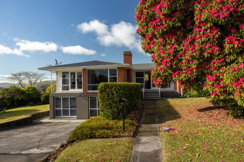 Property building, Garden view