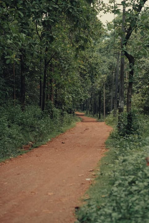 nomad valley Campground/ 
RV Resort in Munnar