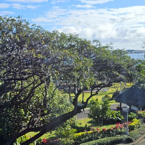 Nearby landmark, Natural landscape, Garden, Sea view