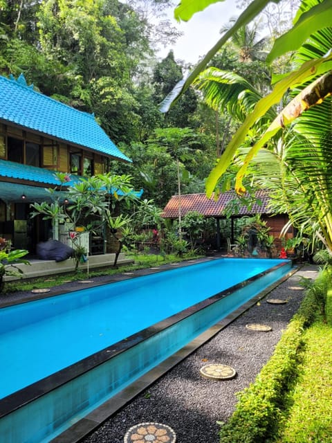 Garden, Swimming pool