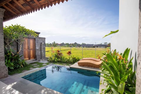 Pool view, Swimming pool