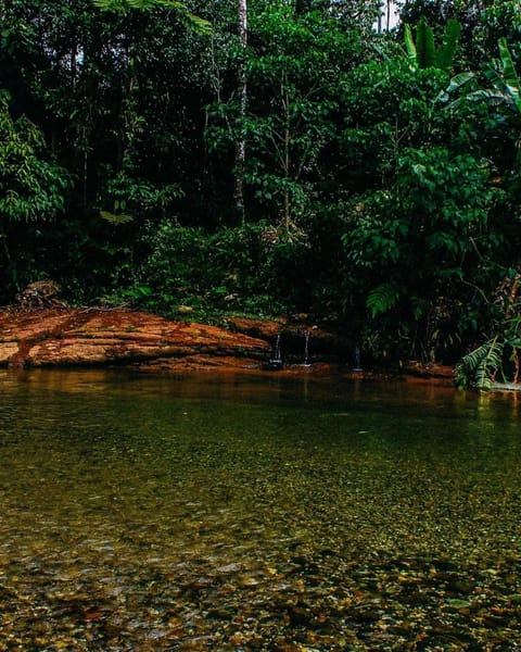 Ingaru Amazon Lodge Nature lodge in Napo, Ecuador